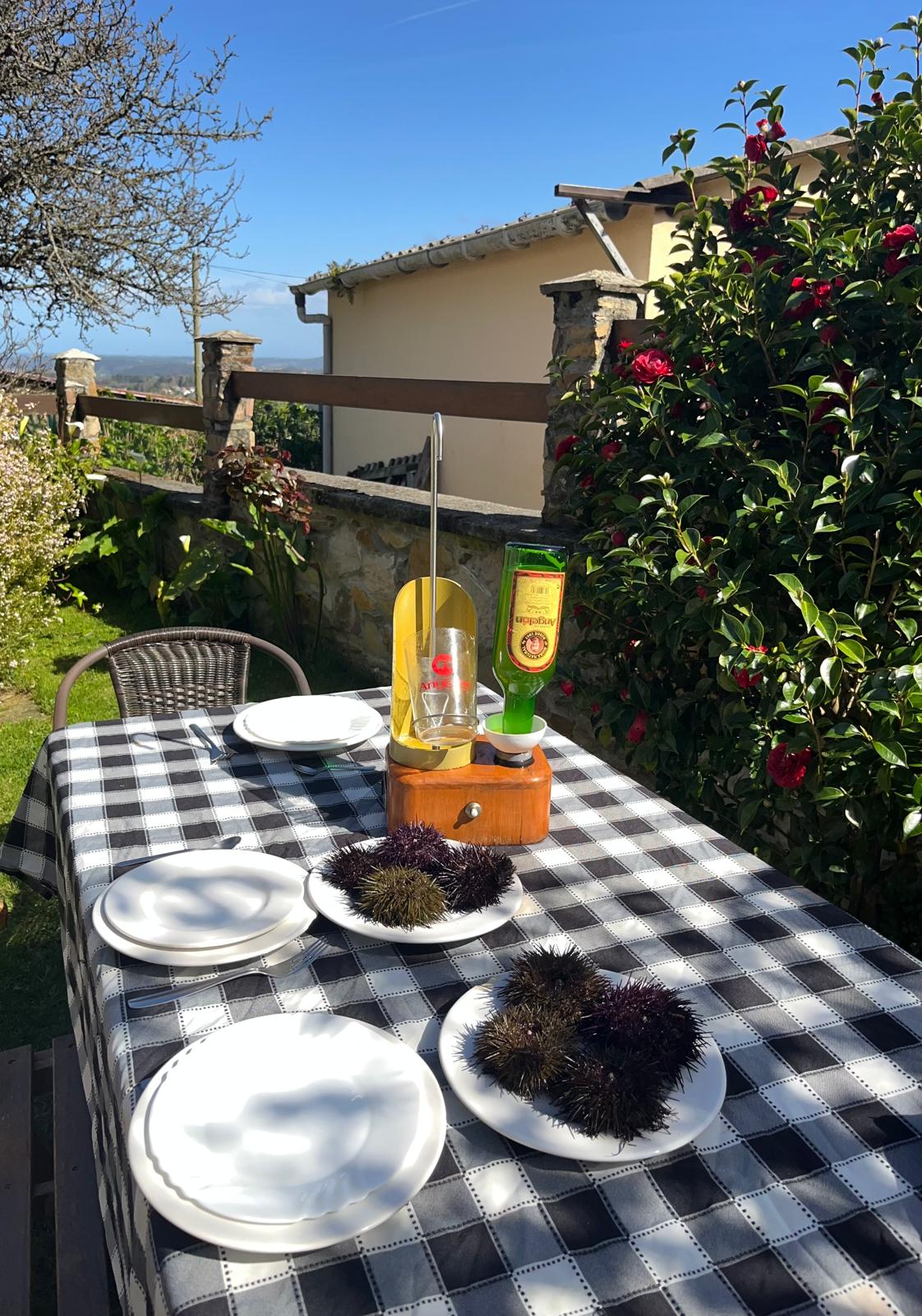 Comidendo unos deliciosos oricios de Cudillero en el jardín de La Casina de Abo.